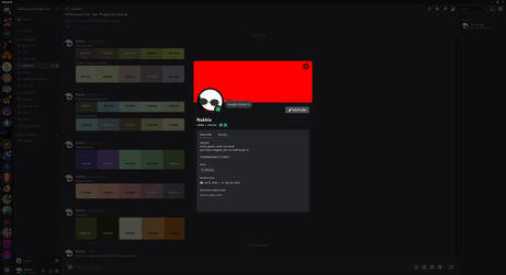 A screenshot of my profile in my server, uncropped.
