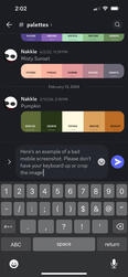 A screenshot of a mobile Discord chat. It's properly uncropped and unedited, but the keyboard is on the screen.